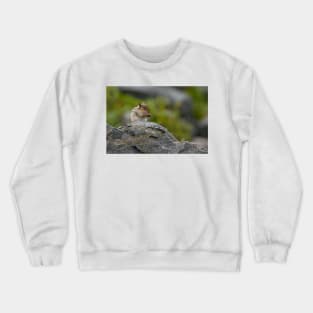 Chipmunk Crewneck Sweatshirt